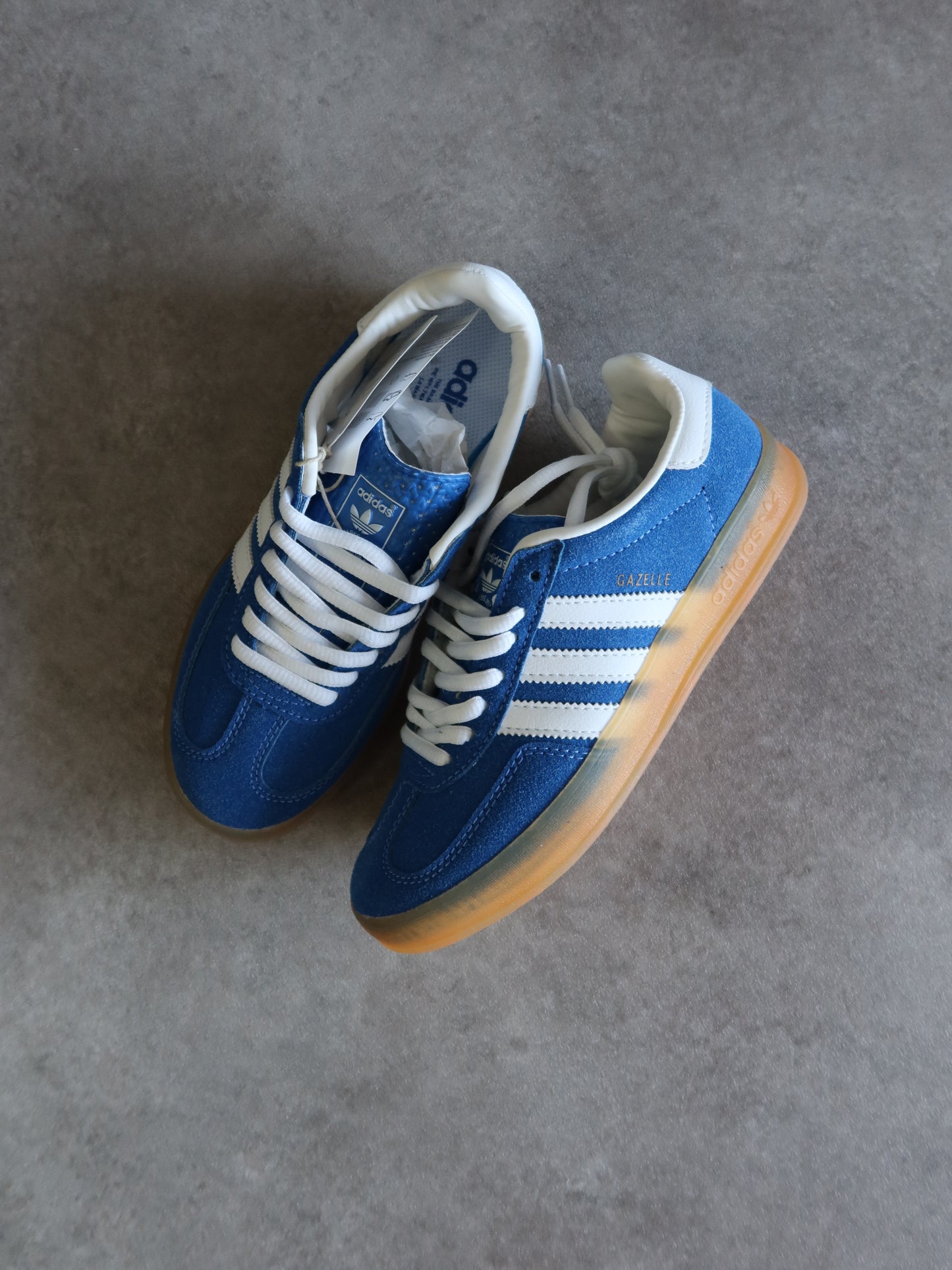 Gazelle indoor Blue Bird Gum